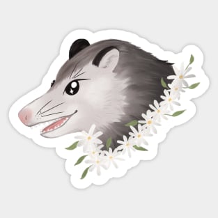 Spring Possum Sticker
